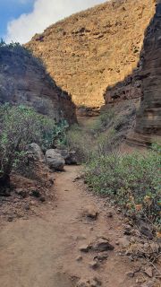 2022-02-GranCan-Barranco_Las_Vacas-PM-NN-33.jpg